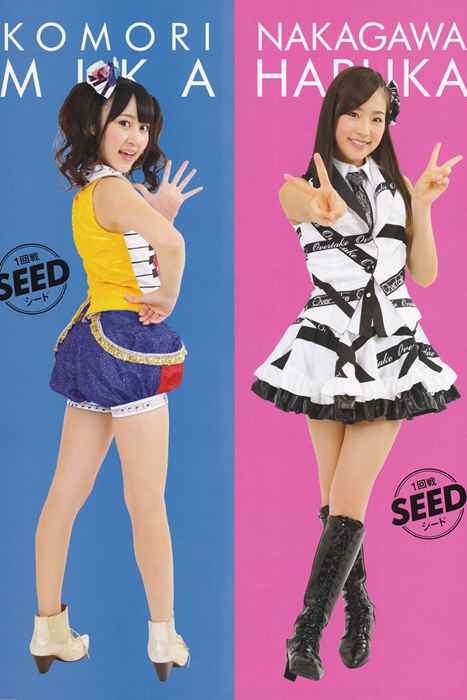 [PB写真集]ID0002 AKB48 – Janken Taikai Official Guide Book 2011